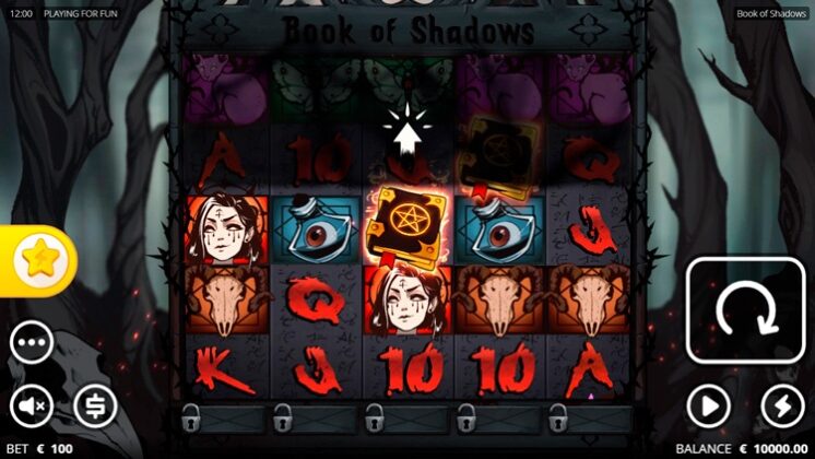Внешний вид автомата Book of Shadows