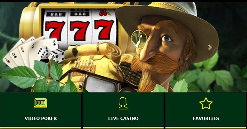 Wild-Casino 
